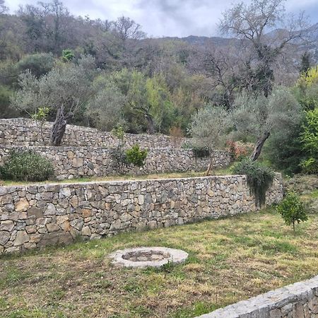 Villa Belle Air Herceg Novi Buitenkant foto